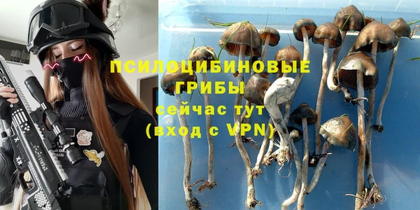 таблы Арсеньев